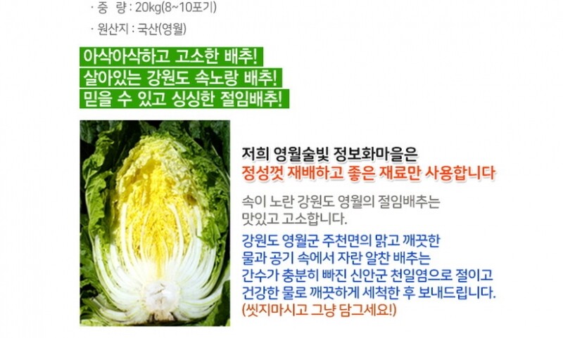 강원더몰,강원도 영월 고랭지 절임배추 20kg (일반,하이베타 선택)