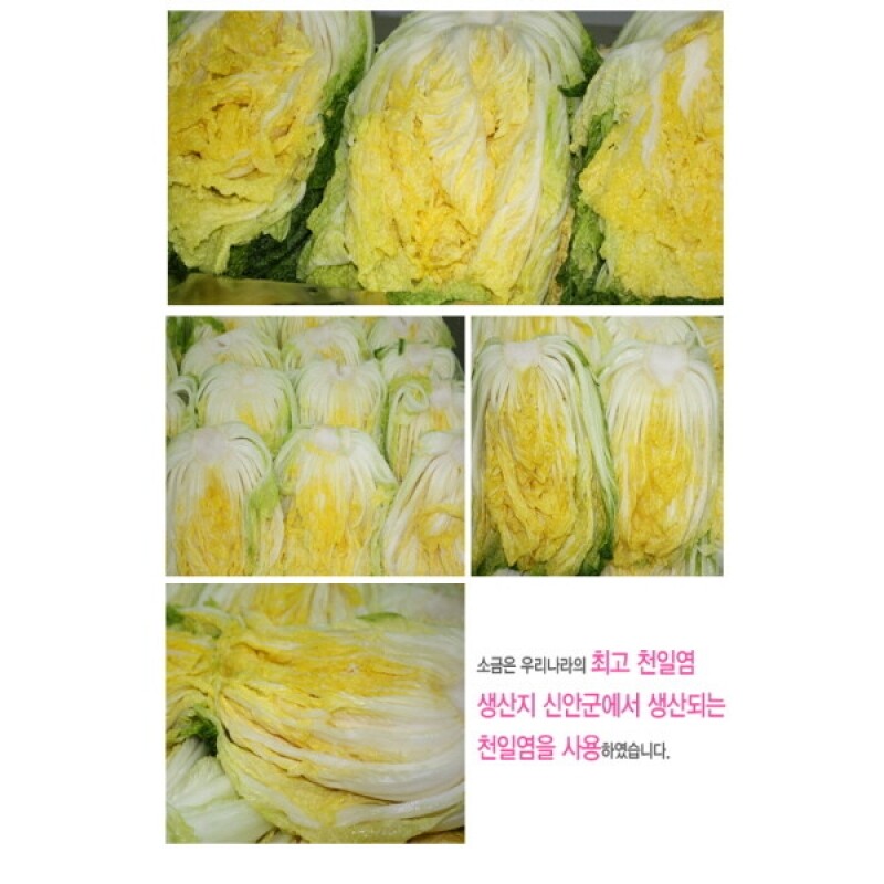 강원더몰,강원도 영월 고랭지 절임배추 20kg (일반,하이베타 선택)