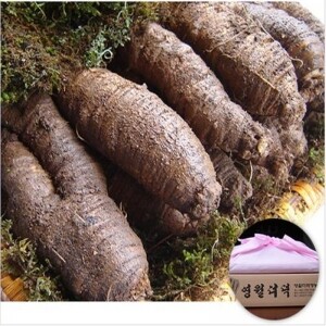 영월 동강더덕 선물용 (금보자기포장) 대/상급 1.6kg